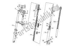 forcella anteriore
