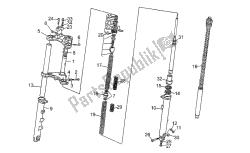 forcella anteriore
