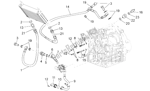 All parts for the Lubrication of the Moto-Guzzi Stelvio 1200 8V STD NTX 2011