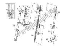 forcella anteriore