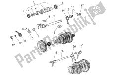 selector de caja de cambios