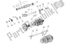 selector de caja de cambios