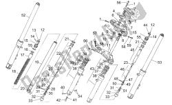 forcella anteriore