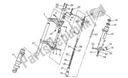 forcella anteriore