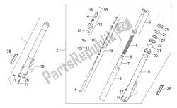 forcella anteriore