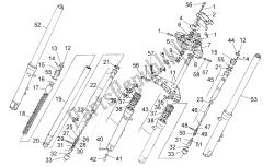 forcella anteriore