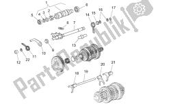 selector de caja de cambios