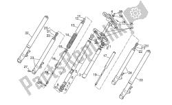 forcella anteriore ii