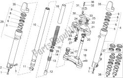 forcella anteriore ii