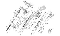 forcella anteriore