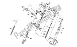 forcella anteriore