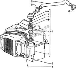 Oil drain valve