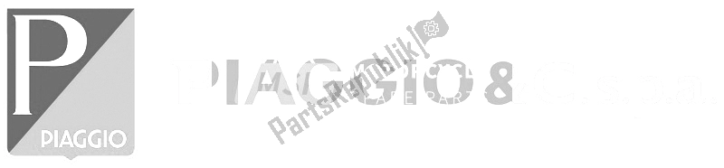 Tutte le parti per il Cdi Magneto Assy del Piaggio Sfera 125 CC 1997