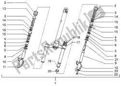forcella anteriore