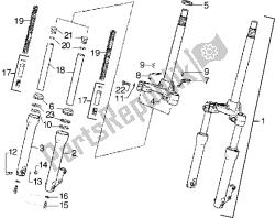 forcella anteriore