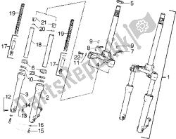 forcella anteriore