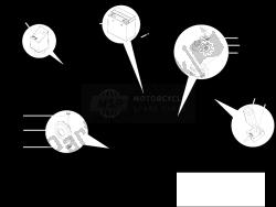 Remote control switches - Battery - Horn