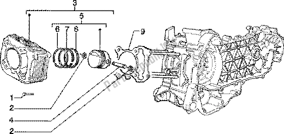 All parts for the Cylinder-piston-wrist Pin, Assy of the Piaggio ZIP 125 4T 2000