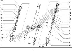 forcella anteriore