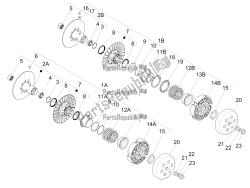 Driven pulley