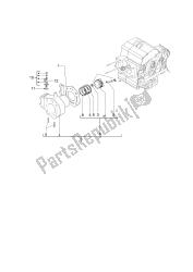 CYLINDER -PISTON -WRIST PIN, ASSY