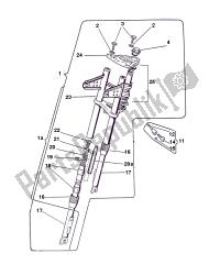 forcella anteriore