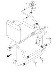 RADIATOR HOSE