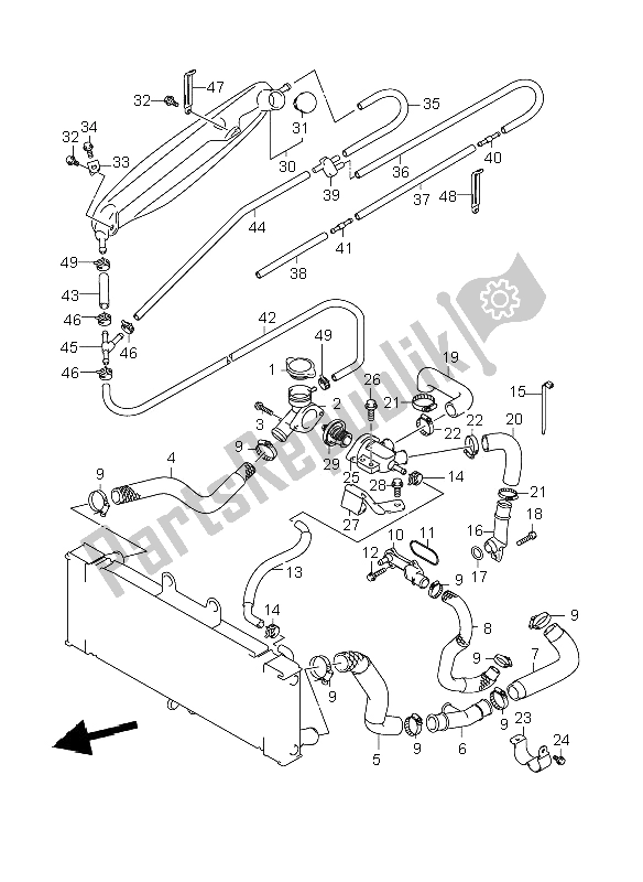 All parts for the Radiator Hose of the Suzuki GSF 1250 Nsnasa Bandit 2008
