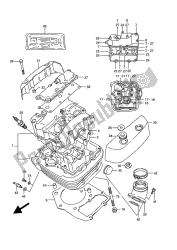 testata (anteriore)