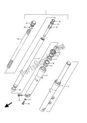 forcella anteriore