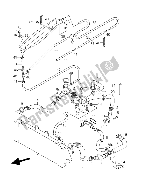 All parts for the Radiator Hose of the Suzuki GSF 1250 Nassa Bandit 2009