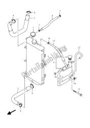 RADIATOR HOSE (AN650)