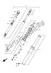 forcella anteriore