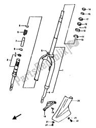 forcella anteriore