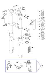 forcella anteriore