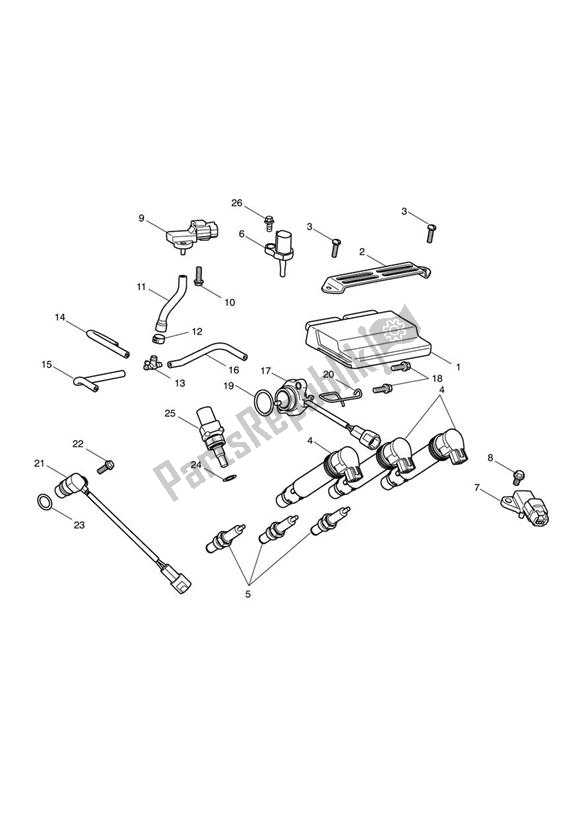 All parts for the Engine Management of the Triumph Daytona R UP TO VIN 564947 675 2009 - 2017