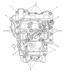 Crankcase Screws