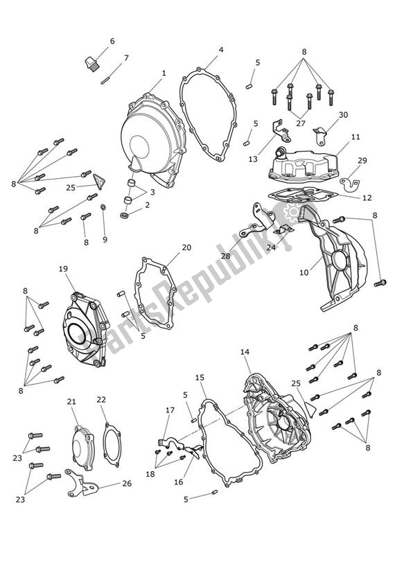 Tutte le parti per il Coperchio Del Motore del Triumph Street Triple Moto2 765 2020 - 2024