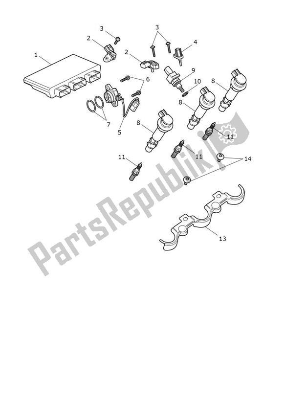 Alle onderdelen voor de Engine Management van de Triumph Speed Triple 1200 RR 1160 2021 - 2024