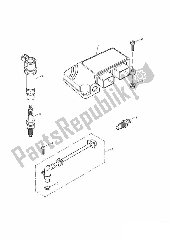 Wszystkie części do Engine Management Triumph TT 600 599 2000 - 2003