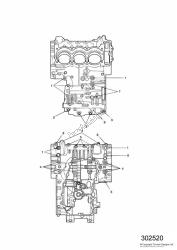 Crankcase Screws