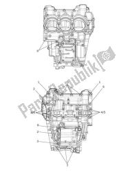 Crankcase Screws