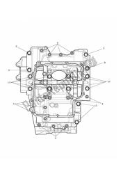 Crankcase Screws