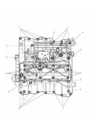 Crankcase Screws