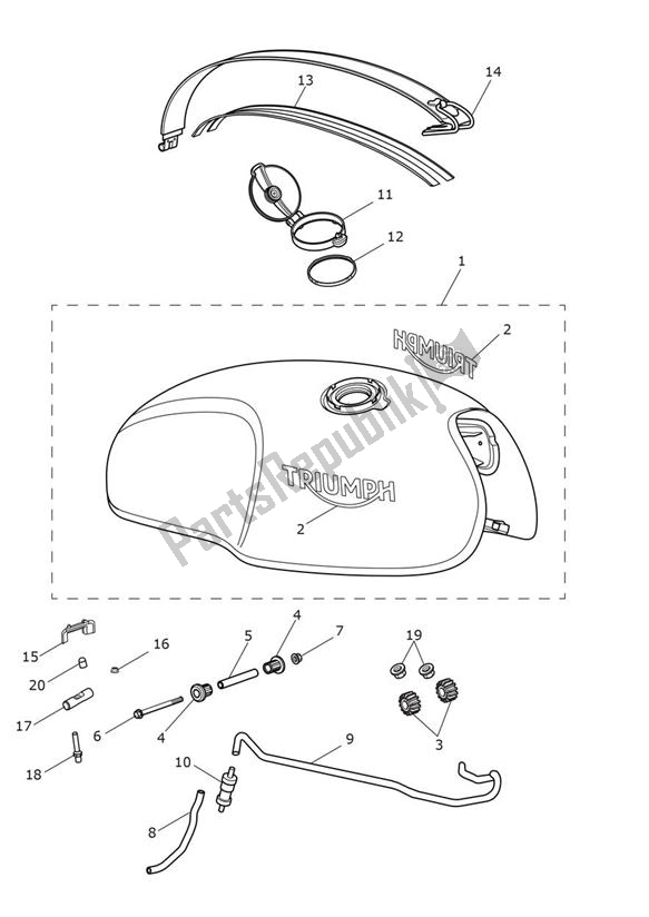 All parts for the Fueltank of the Triumph Thruxton R 1200 2016 - 2020