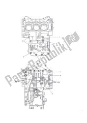 Crankcase Screws