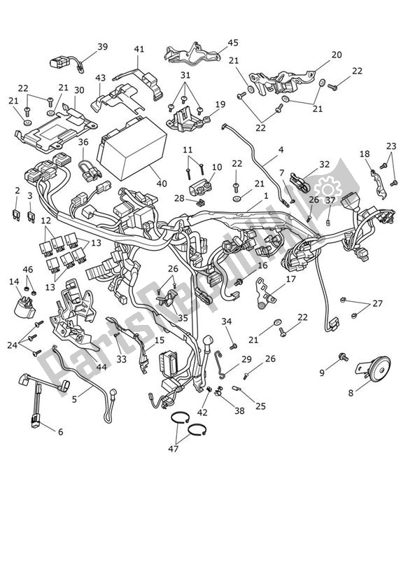 All parts for the Engine Management of the Triumph Thruxton RS 1200 2020 - 2024