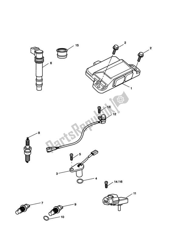 All parts for the Engine Management of the Triumph Sprint GT 1050 2011 - 2016