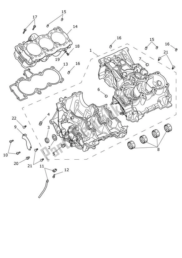 Todas as partes de Bloco Do Motor do Triumph Tiger 1200 GT 1215 2022 - 2024