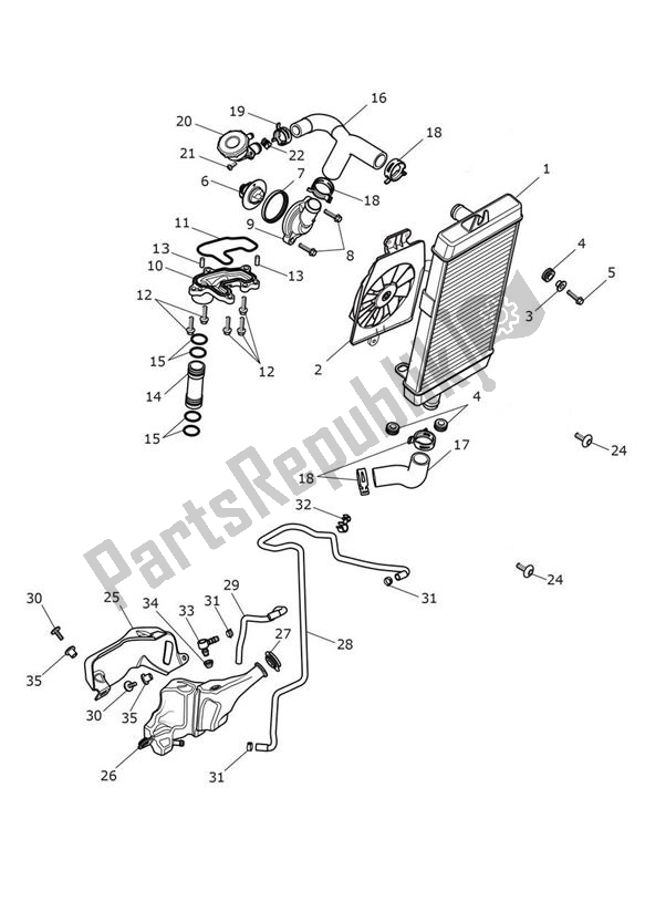 Todas las partes para Cooling - Speed Twin 900 de Triumph Speed Twin 900 2019 - 2021